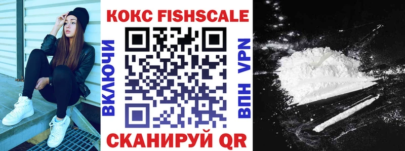 Купить закладки Камышин Кокаин Fish Scale