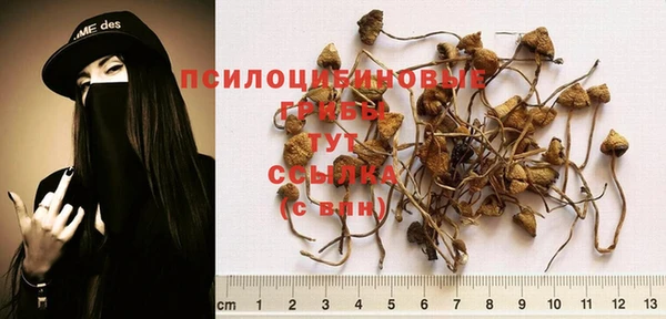 спайс Магадан